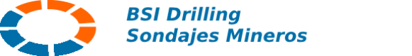 bsidrilling.com.ar